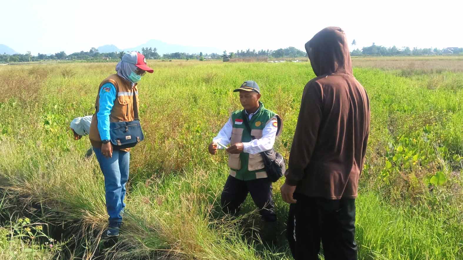 Petugas POPT, PPL, Brigade Unit II bersama anggota kelompok tani saat melaksanakan Gerakan Pengendalian (Gerdal) hama tikus dengan metode pengemposan di areal persawahan Desa Widodo, Kecamatan Tugumulyo, Kabupaten Musi Rawas, Rabu 15 Juli 2026.