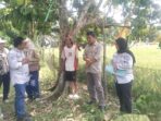 Pertanian Kabupaten Muratara akan uji coba menerapkan Pertanian Modern Advanced Agriculture System sistem  pertanian Tabela tanpa penyemaian. Tampak tim dari Kementan RI dan Distanak Kabupaten Muratara saat survei sawah di Muratara. Foto: Dok. Distankan Kabupaten Muratara