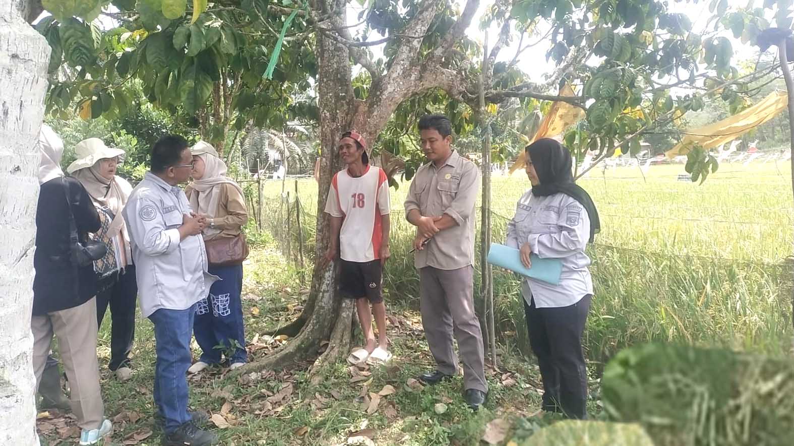 Pertanian Kabupaten Muratara akan uji coba menerapkan Pertanian Modern Advanced Agriculture System sistem  pertanian Tabela tanpa penyemaian. Tampak tim dari Kementan RI dan Distanak Kabupaten Muratara saat survei sawah di Muratara. Foto: Dok. Distankan Kabupaten Muratara