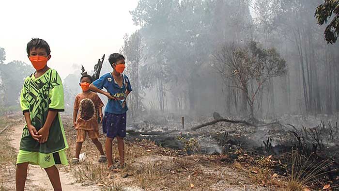 Foto: ANTARA FOTO/Auliya Rahman/Sejumlah anak melihat kebakaran lahan yang mendekati permukiman warga di Kelurahan Sabaru, Palangka Raya, Kalimantan Tengah, Sabtu (15/8/2026).